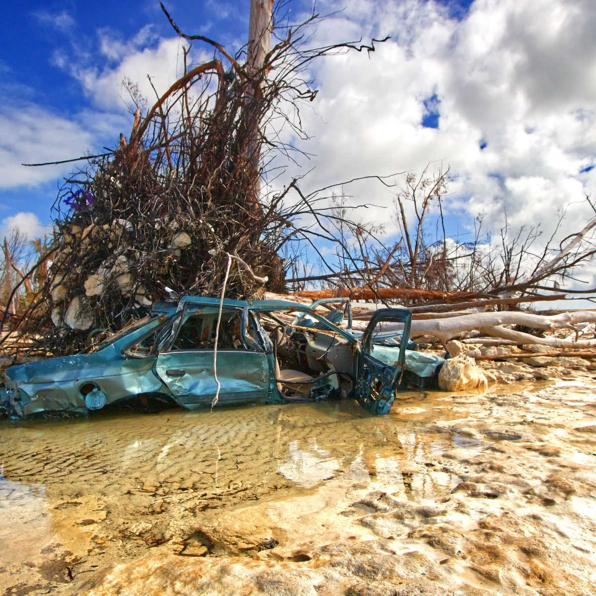 Huge tree trunk on top of a vehicle after a storm in the Caribbean
